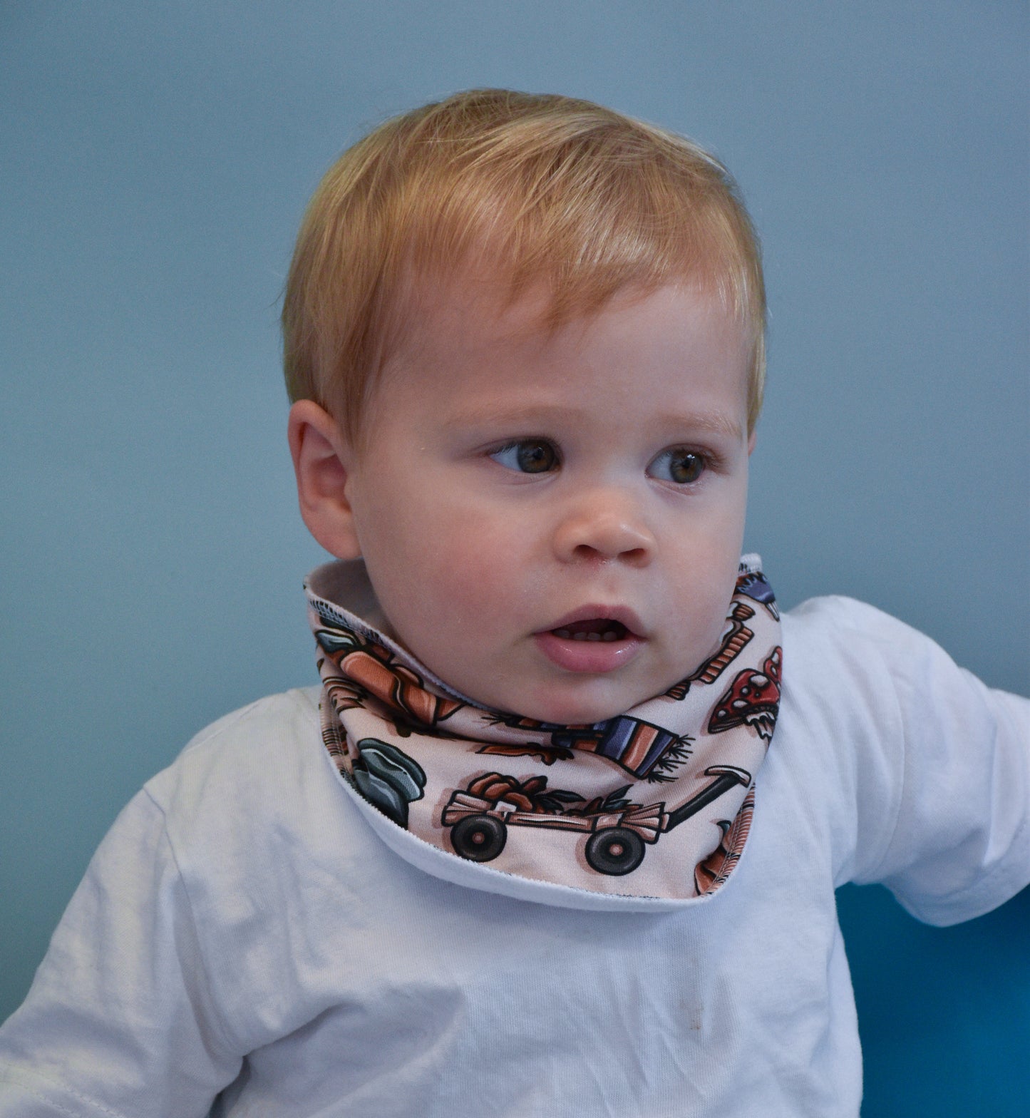 At The Pumpkin Patch Dribble Bibs