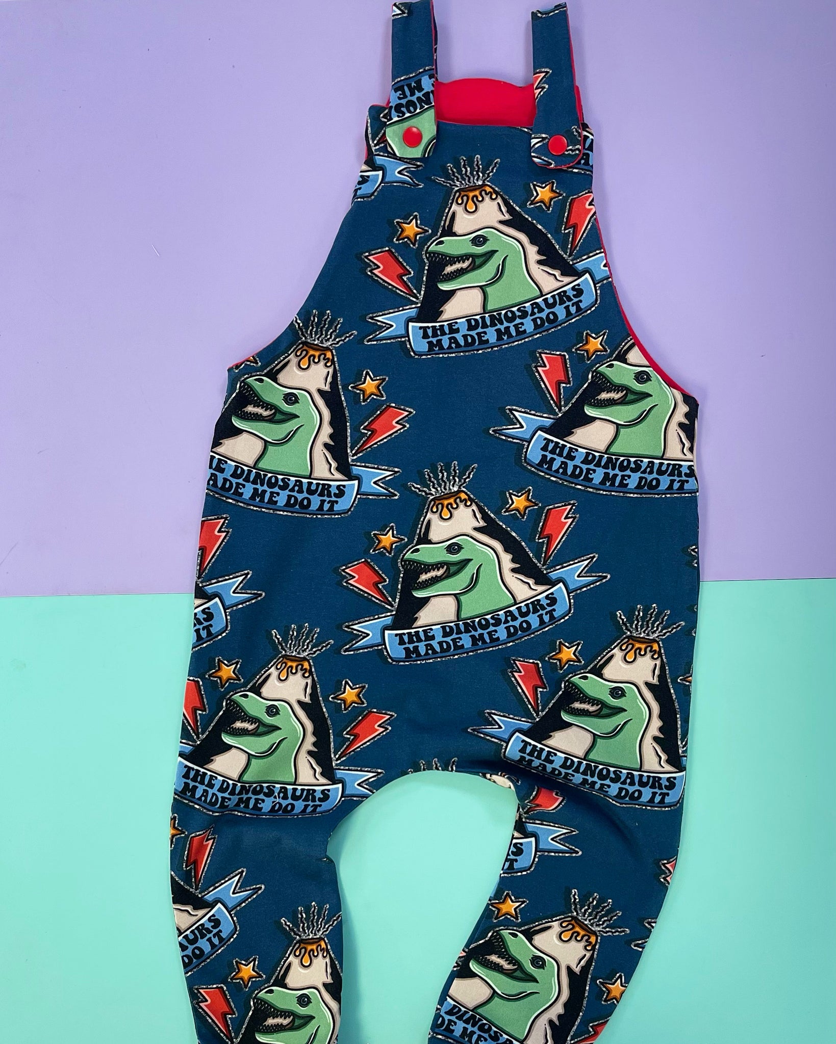 The Dinosaurs Made Me Do It Dungarees